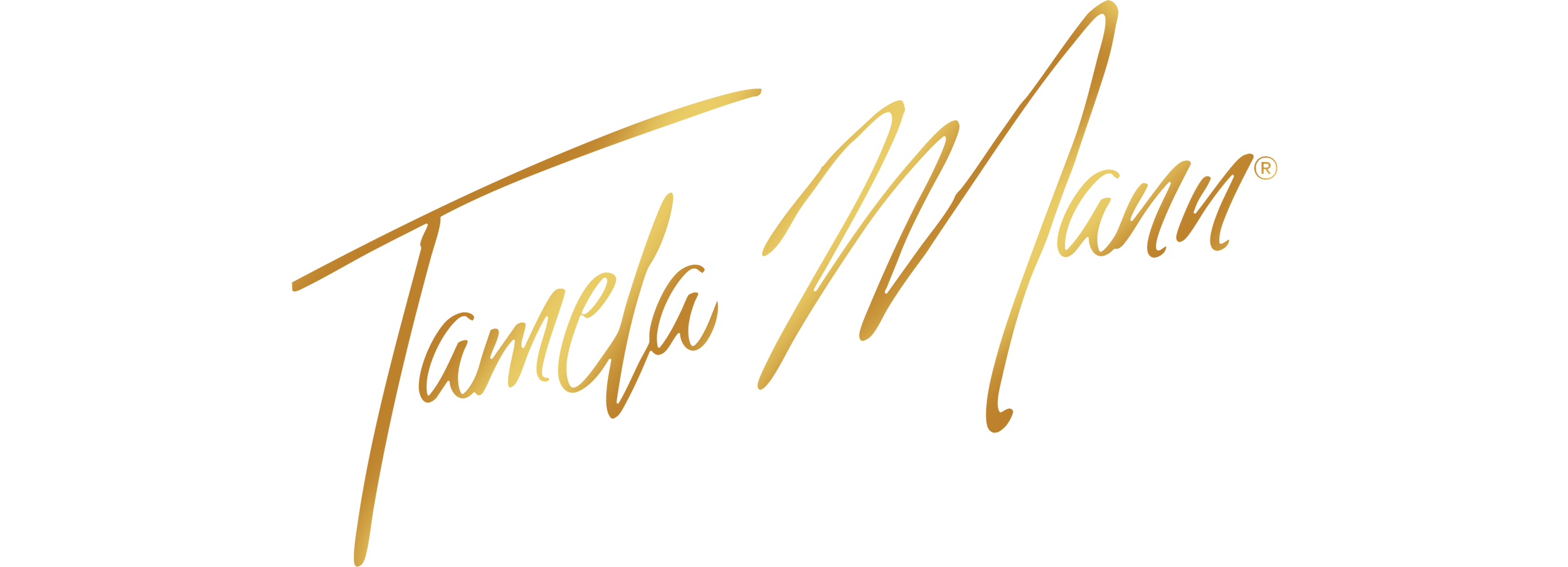 Gold signature-style text of 'Tameka Mann' on a white background